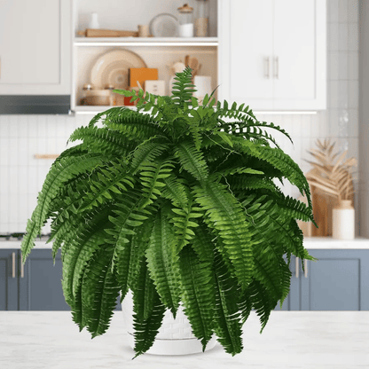 🔥Today Only $19.99🔥UV Resistant Lifelike Artificial Boston Fern